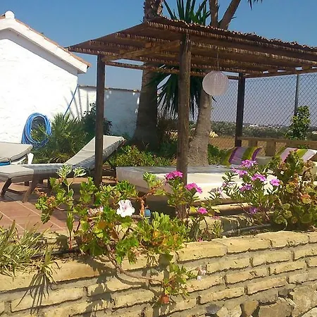 El Olivo Conil *